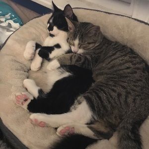 Meet your Posher, Denise